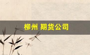 柳州 期货公司(柳州期货公司哪家好)_https://www.gfdzclz.com_科创板_第1张